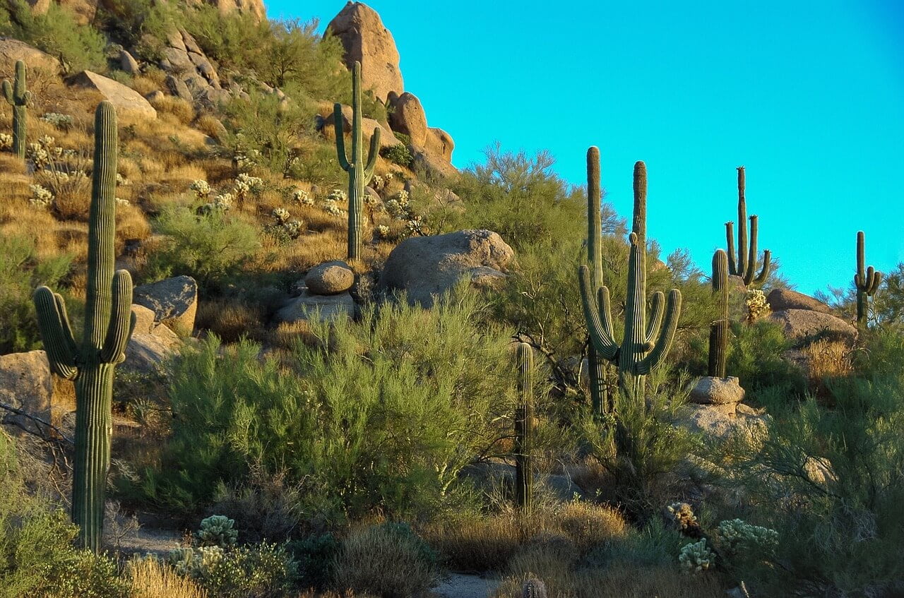 peoria-az-travel-trade-show-travel-co